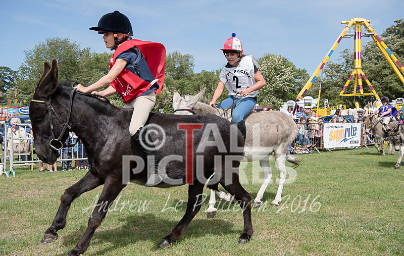 Donkey Derby_2016-20 - LIONS CLUB DONKEY DERBY 2016