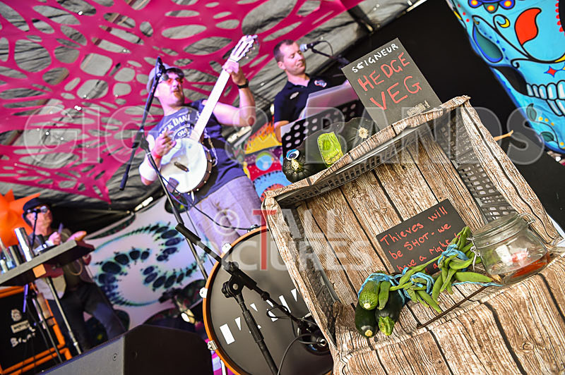 Seigneur Hedge Veg-7 - SEIGNEUR HEG VEG