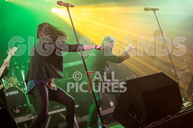 King Rat and the Soul Cats-231 - KING RAT AND THE SOUL CATS