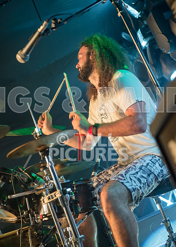 Demise of Sanity-122 - DEMISE OF SANITY