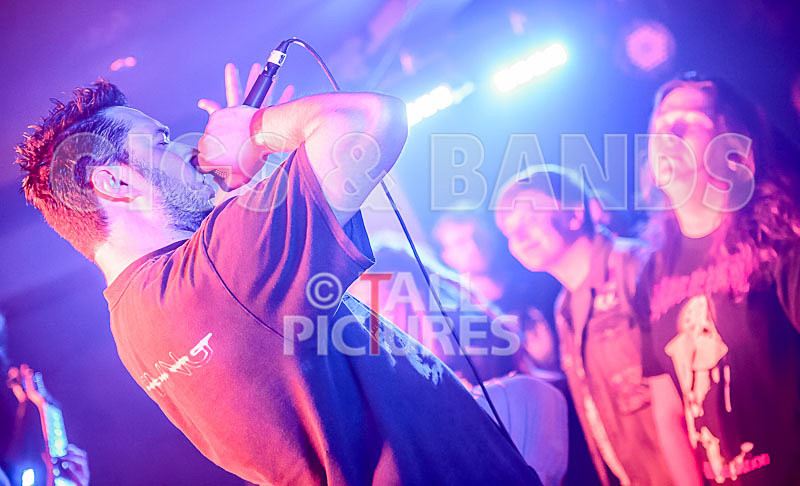 Masticated-43 - MASTICATED