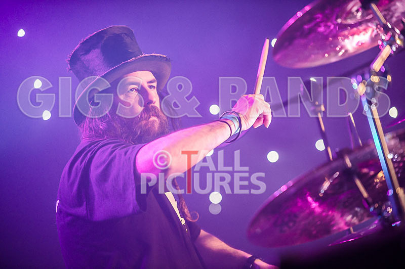 Peppered Ant Legs-147 - PEPPERED ANT LEGS