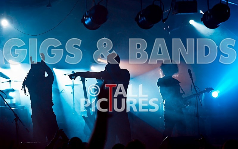 Breed77-17 - BREED77