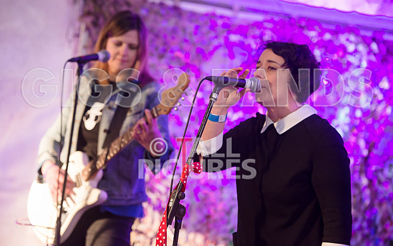 Swallows-3 - SWALLOWS