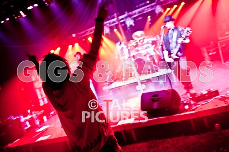 Peppered Ant Legs-71 - PEPPERED ANT LEGS