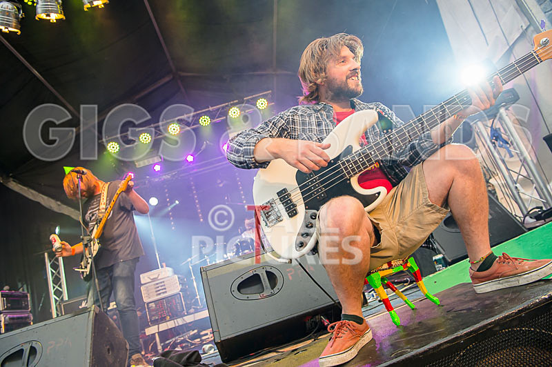 To the Woods-376 - TO THE WOODS