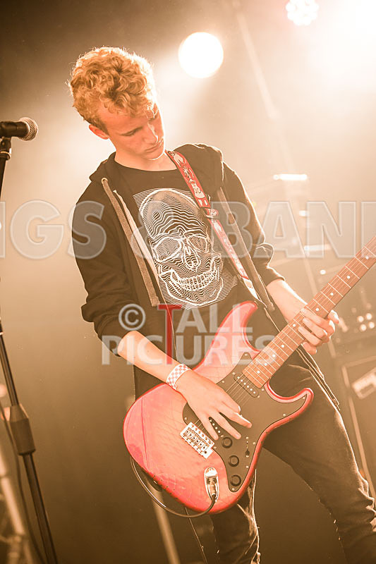 The Violet Diversion-13 - THE VIOLET DIVERSION