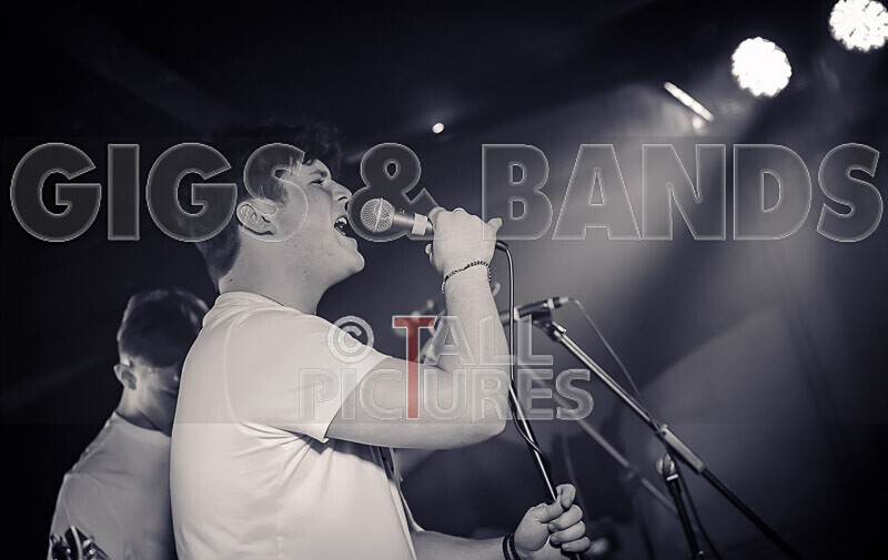 Black Dog-19 - BLACK DOG