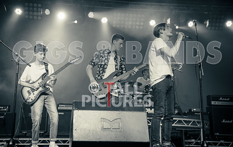 Alysida-17 - ALYSIDA