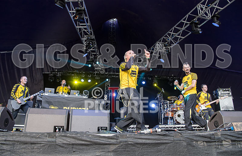 Dubioza Kolektiv-12 - DUBIOZA KOLEKTIV