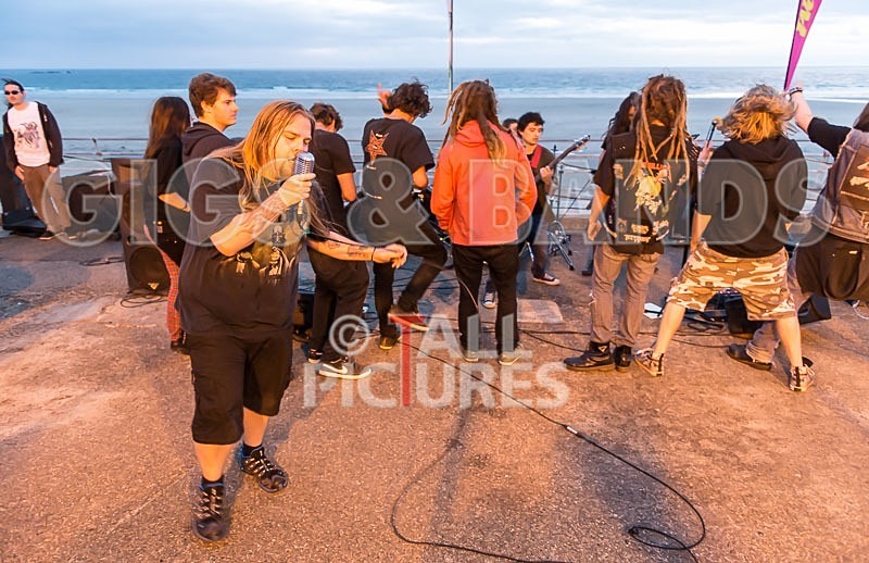 Stone Em All-151 - STONE EM ALL