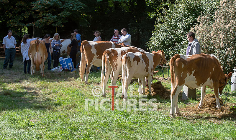 North Show_2014-19 - NORTH SHOW 2014