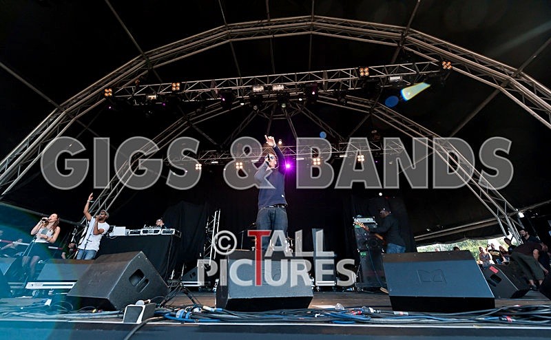 Professor Green-15 - PROFESSOR GREEN