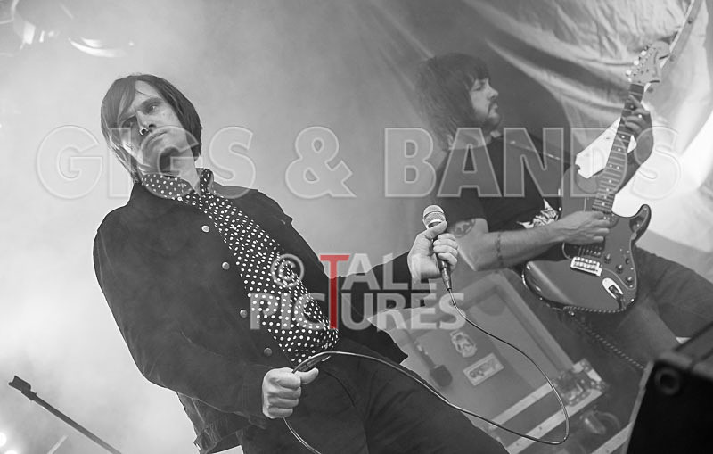 The Cryptics-104 - THE CRYPTICS