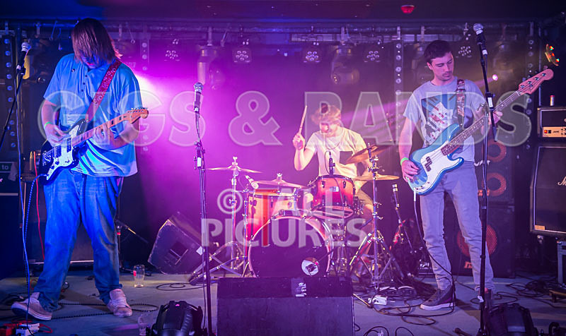 To the Woods-93 - TO THE WOODS