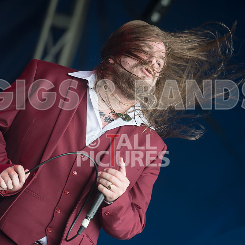 Stone Em All-313 - STONE EM ALL