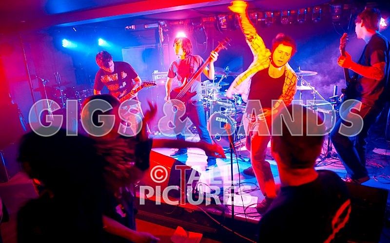 Brutus Stonefist-238 - BRUTUS STONEFIST