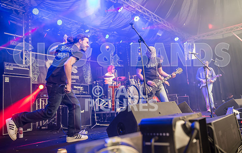 To the Woods-133 - TO THE WOODS