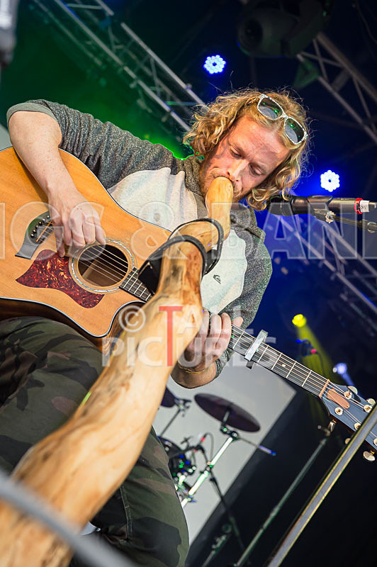 Buffalo Huddleston-455 - BUFFALO HUDDLESTON