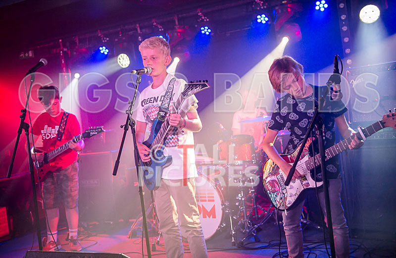 The Lemmings-16 - THE LEMMINGS