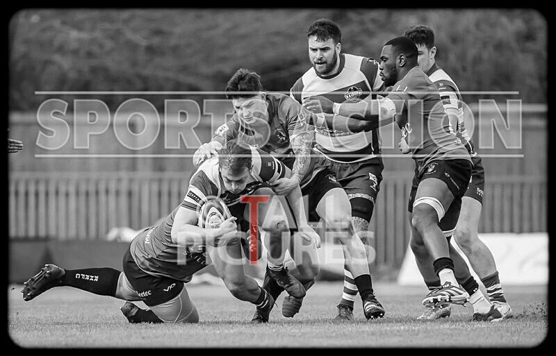 Guernsey Raiders v Rochford Hundred 2023-5 - GUERNSEY RAIDERS v ROCHFORD HUNDRED