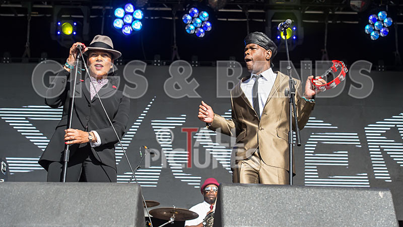 The Selecter-47 - THE SELECTER