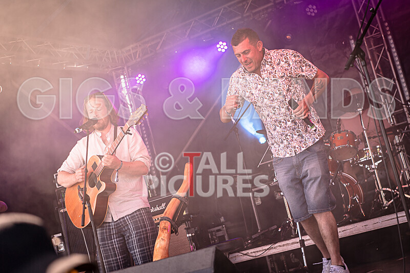 Buffalo Huddleston-735 - BUFFALO HUDDLESTON