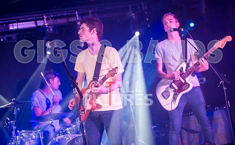 China Aster-109 - CHINA ASTER