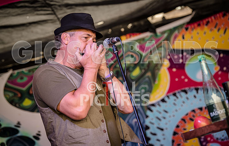 Seigneur Hedge Veg-2 - SEIGNEUR HEG VEG