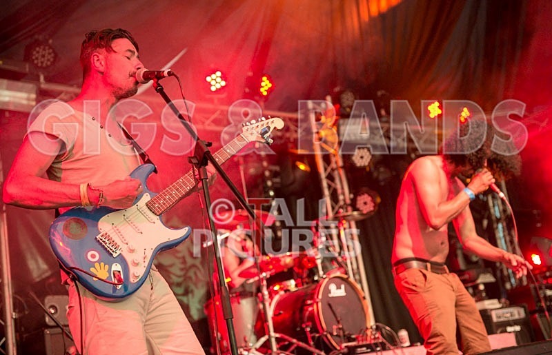 Chaos 2013_Harlequin Knights-1 - HARLEQUIN KNIGHTS