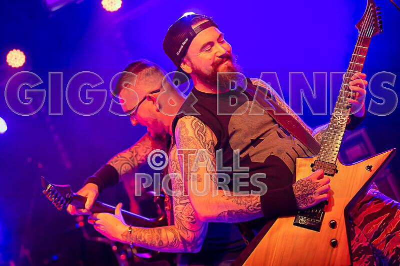 Demise of Sanity-256 - DEMISE OF SANITY