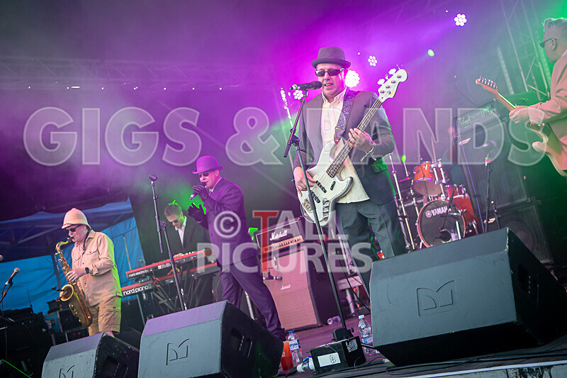 Los Palmos 6 as Madness-12 - LOS PALMOS 6 as MADNESS