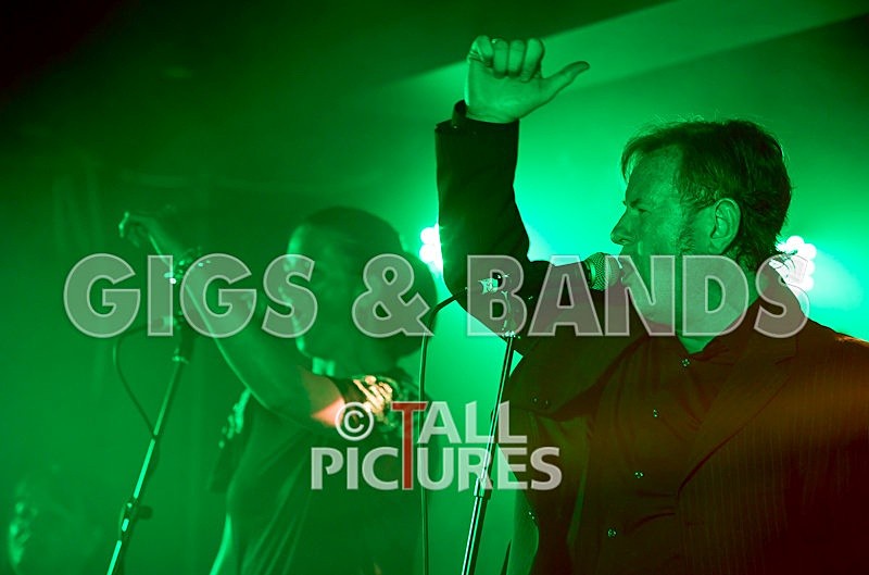 King Rat and the Soul Cats-59 - KING RAT & THE SOUL CATS