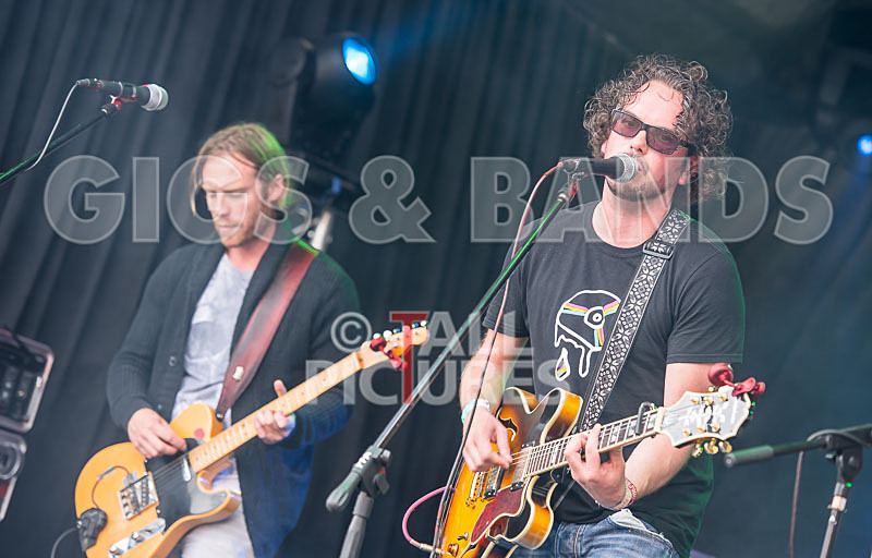 Wondergeist-20 - WONDERGEIST