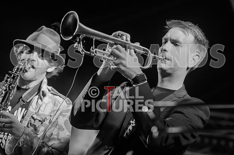 Sons of the Desert-277 - SONS OF THE DESERT