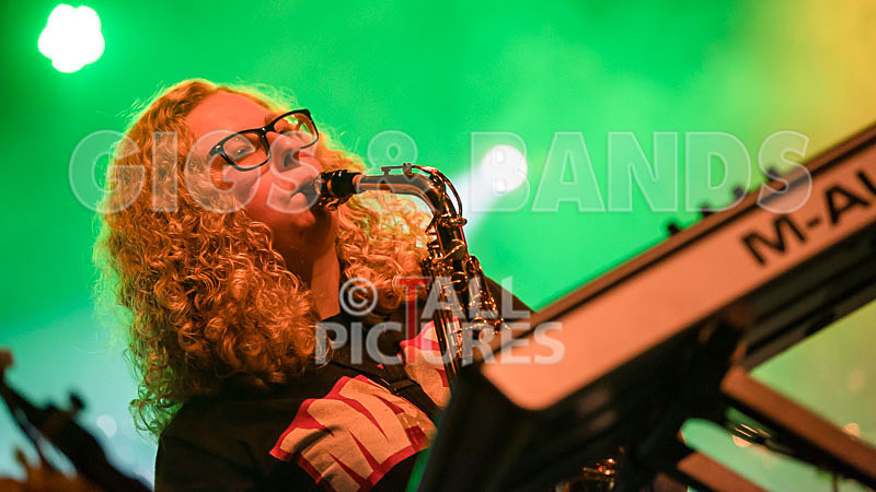 Honest Crooks-204 - HONEST CROOKS