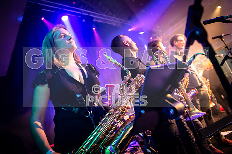 King Rat  the Soul Cats-453 - KING RAT & THE SOUL CATS