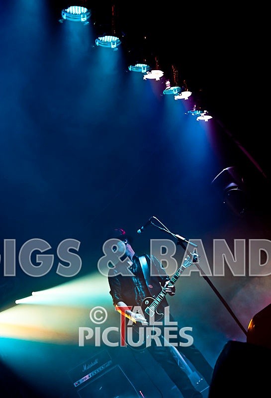 Peppered Ant Legs-59 - PEPPERED ANT LEGS