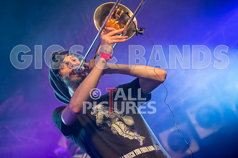 Pirate Party Brigade-27 - PIRATE PARTY BRIGADE