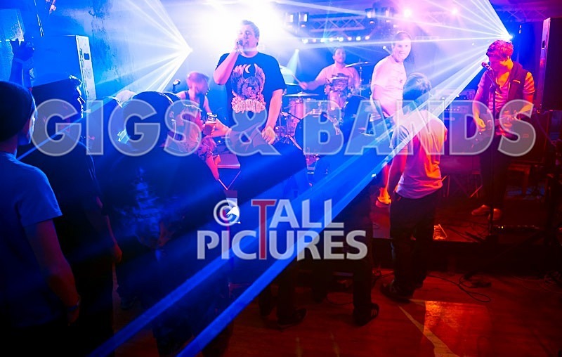 From Bedrooms to Backseats-65 - FROM BEDROOMS TO BACKSEATS