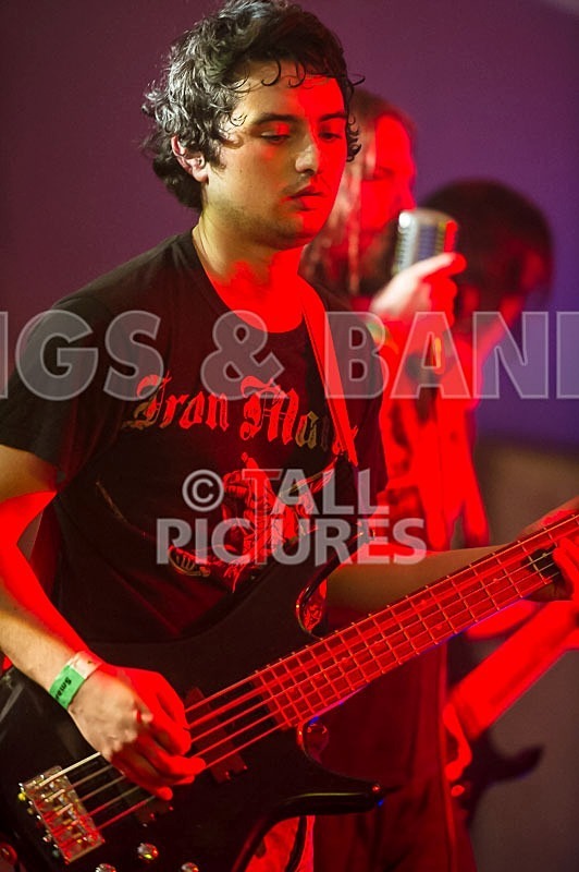 Stone Em All-77 - STONE EM ALL