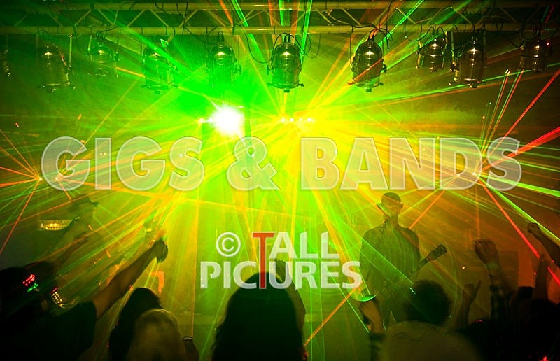 Peppered Ant Legs-76 - PEPPERED ANT LEGS