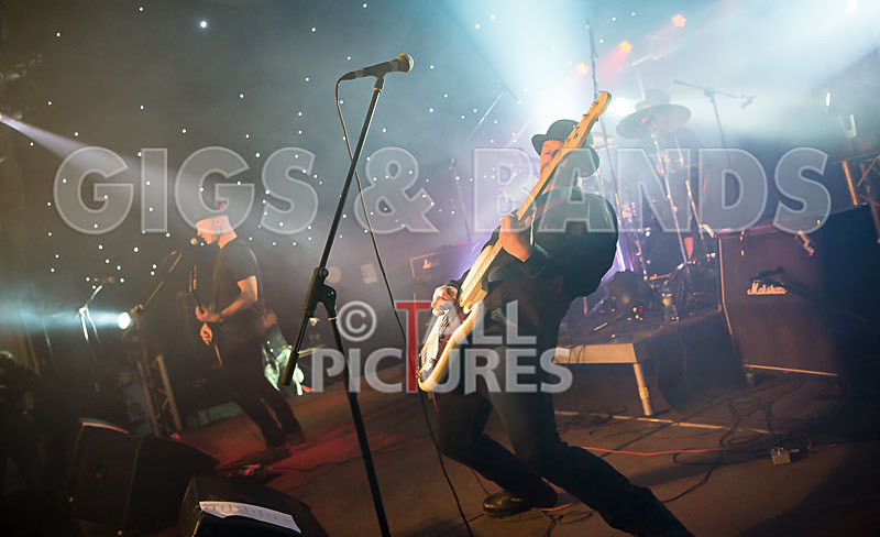 Peppered Ant Legs-194 - PEPPERED ANT LEGS