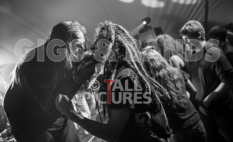 Stone Em All-85 - STONE EM ALL