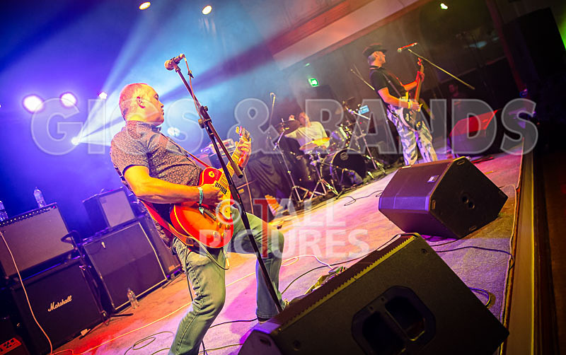 The Risk-381 - THE RISK