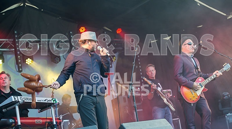 Sons of the Desert-188 - SONS OF THE DESERT