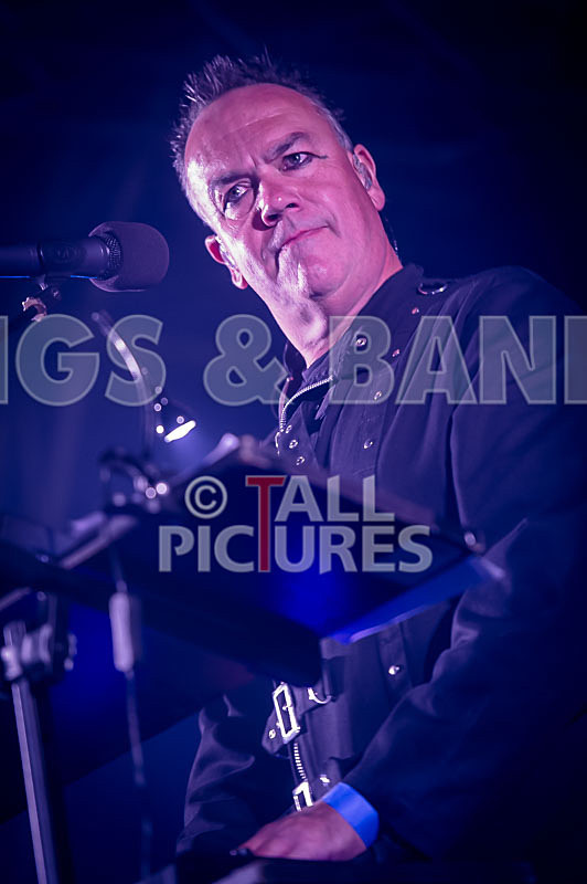 Fade to Grey-311 - FADE TO GREY