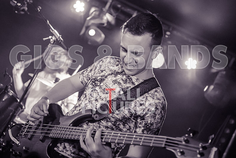 To the Woods-408 - TO THE WOODS