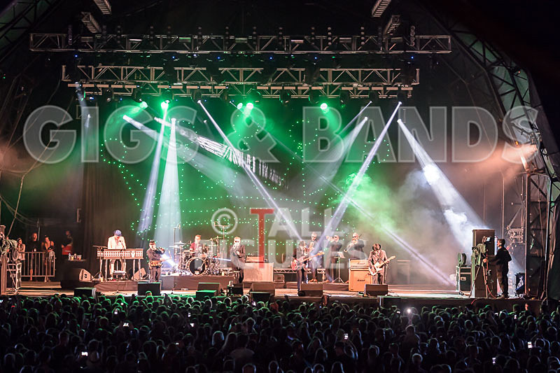 Madness-71 - MADNESS