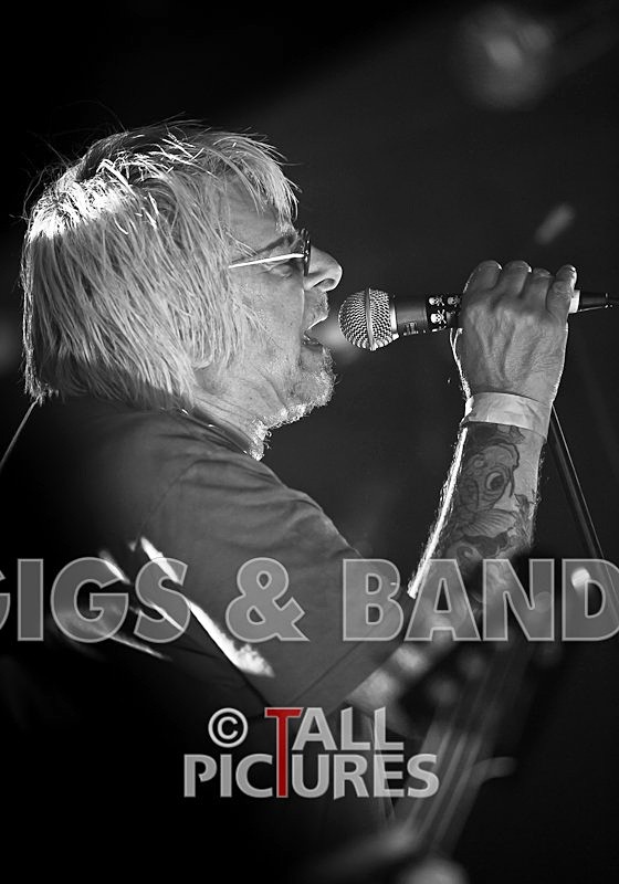 UK Subs-36 - U.K. SUBS